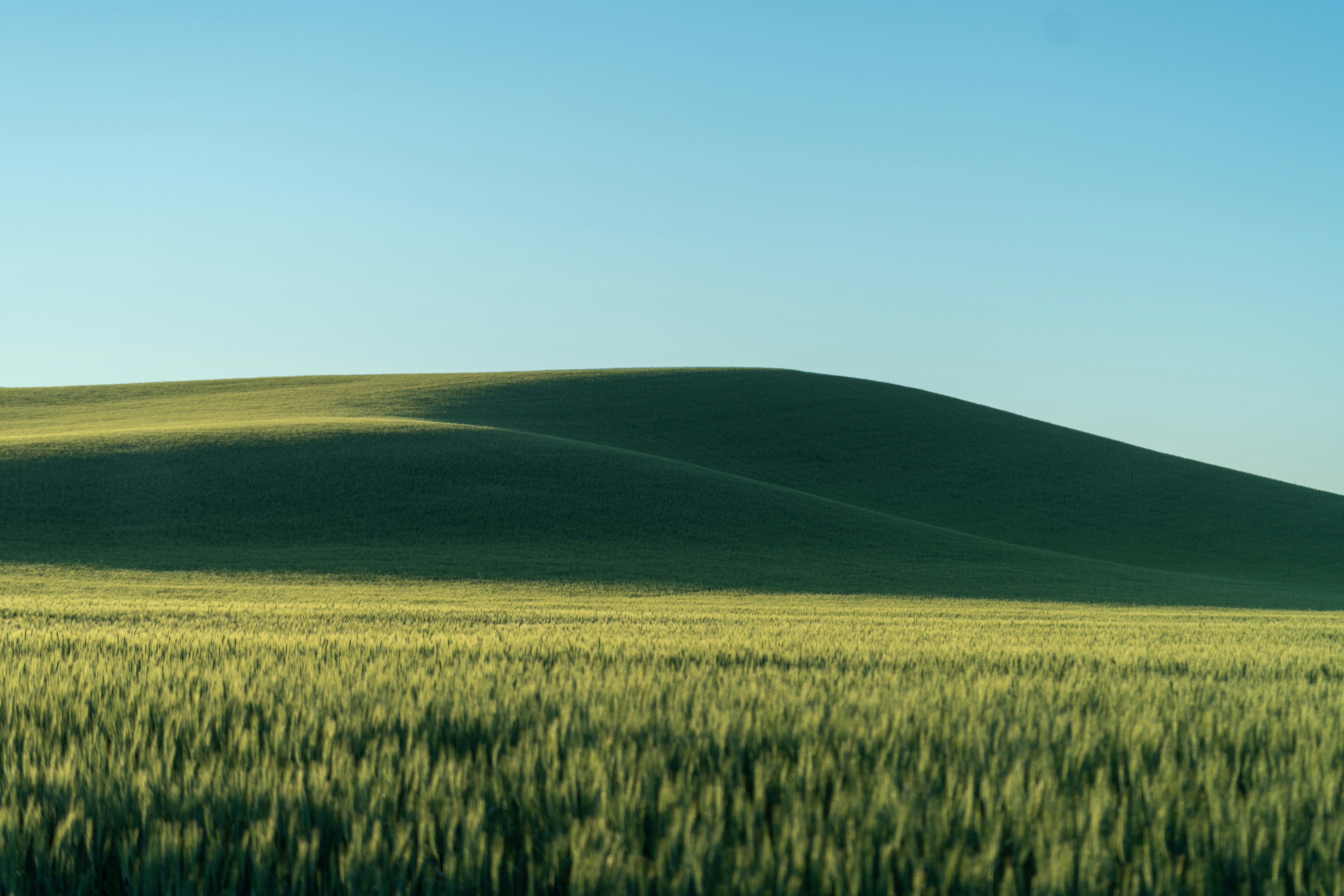 winxp